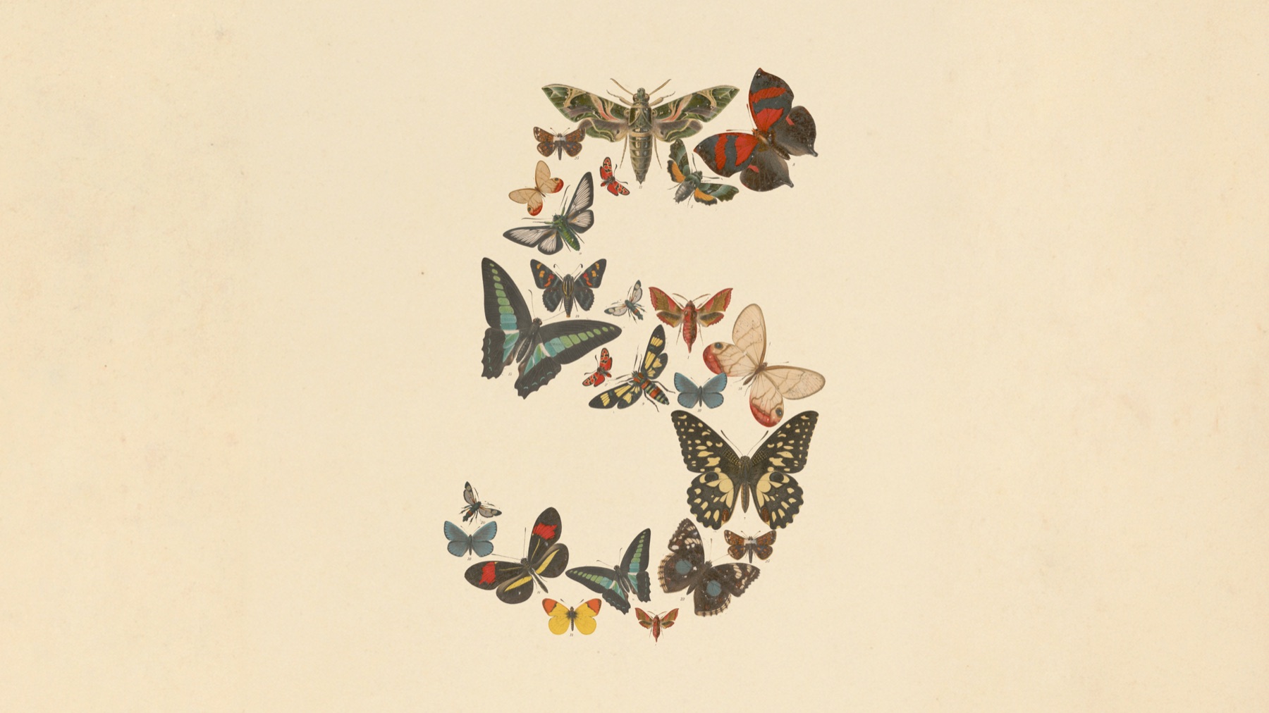 Claude Fable 5 and Mythos 5 announcement art, the number five made of butterflies