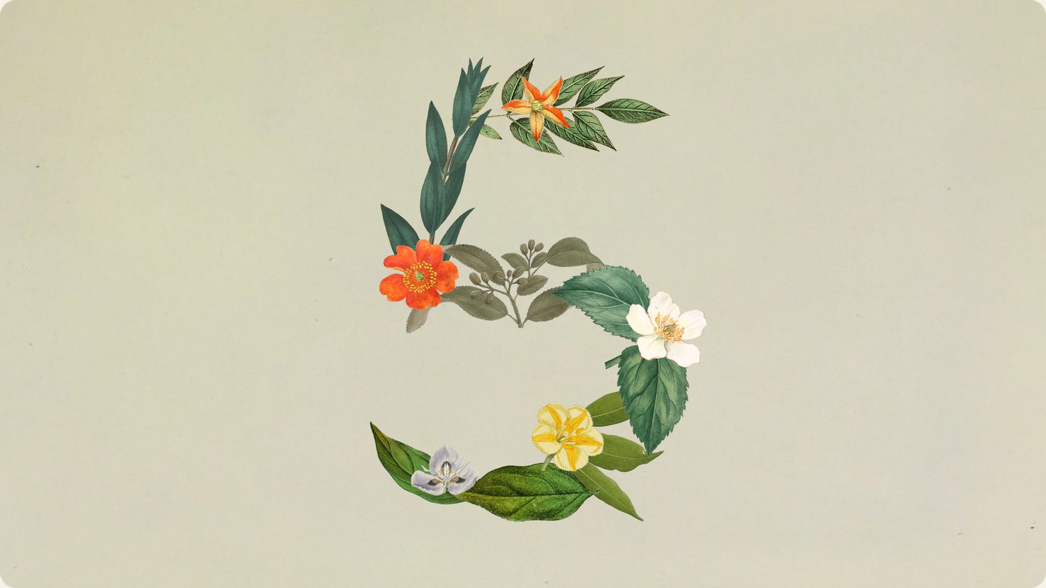 Claude Sonnet 5 announcement art, the number 5 formed from flowers and leaves